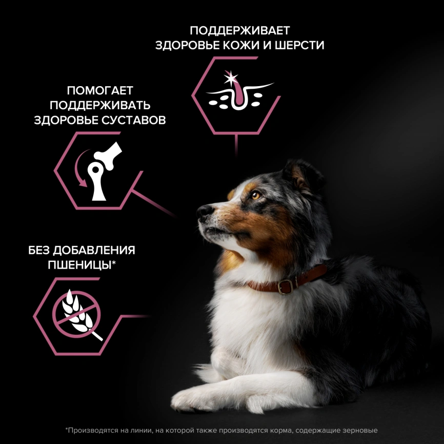 Сухой корм Purina Pro Plan Medium Sensitive Skin для взрослых собак средних пород, лосось и рис, 3 кг фото 2
