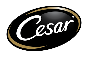 Cesar